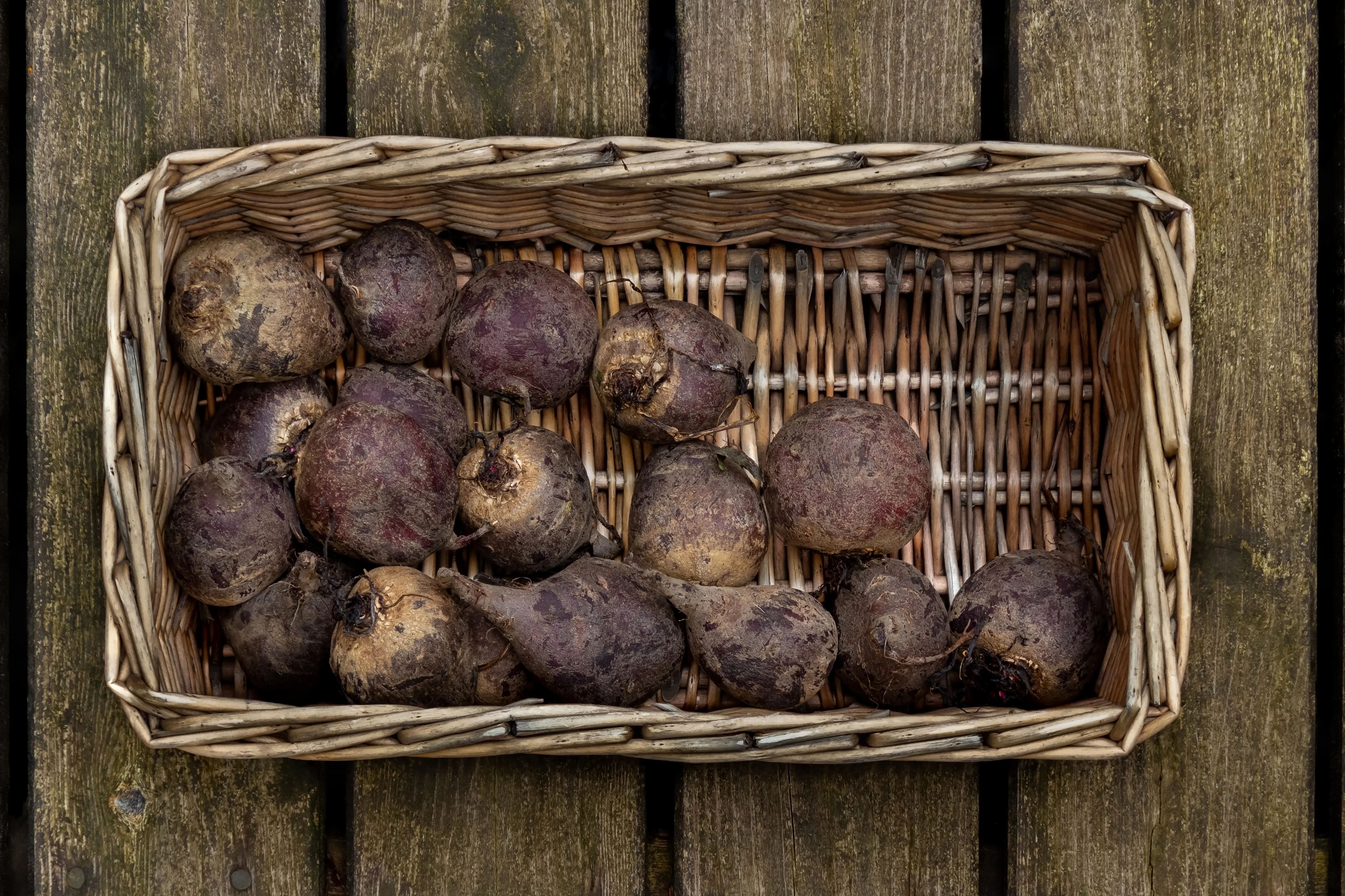 Freshly harvested whole beetroots with their roots and a little soil still on them, in a basket, W.carter, Wikimedia Commons, CC BY-SA 4.0