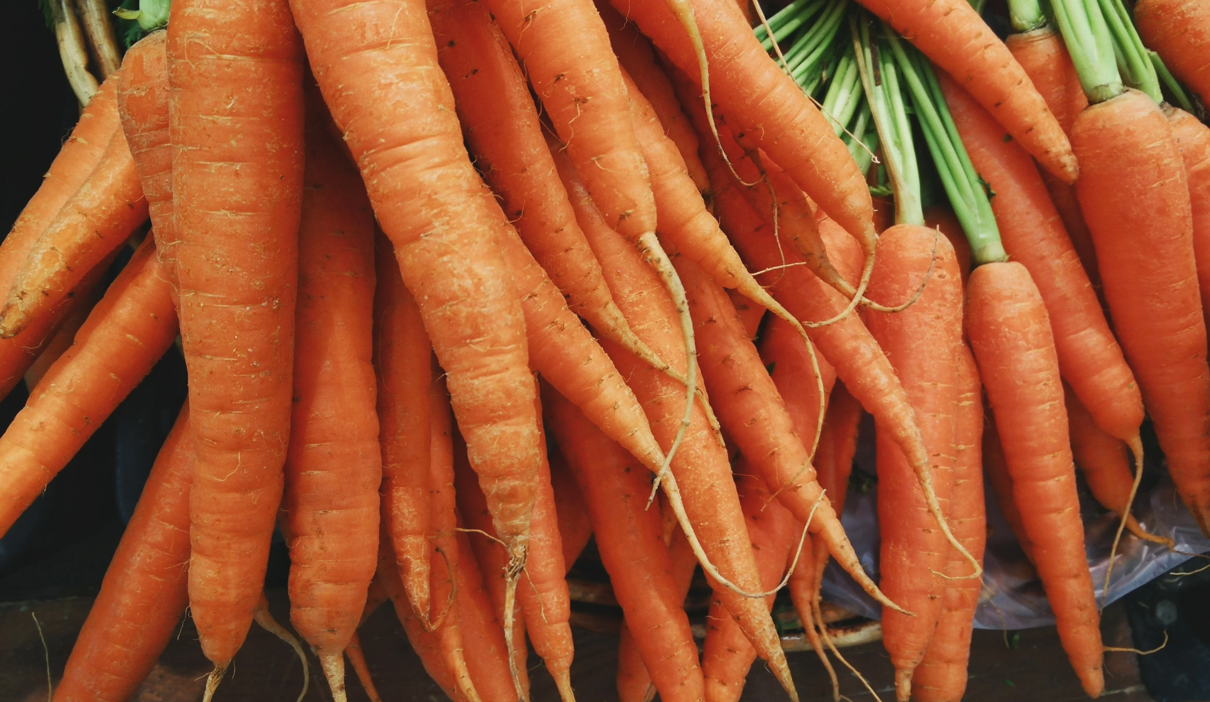 Fresh organic carrots with green tops still attached, CC0 via Harshal Hirve, Wikimedia Commons